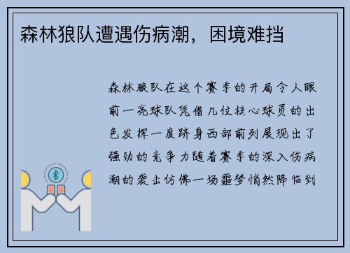 森林狼队遭遇伤病潮，困境难挡